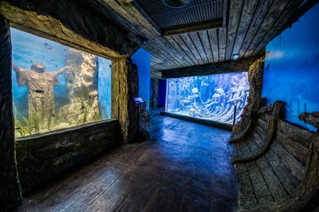Malta For Kids – Top Fun Activities for Kids of All Ages
